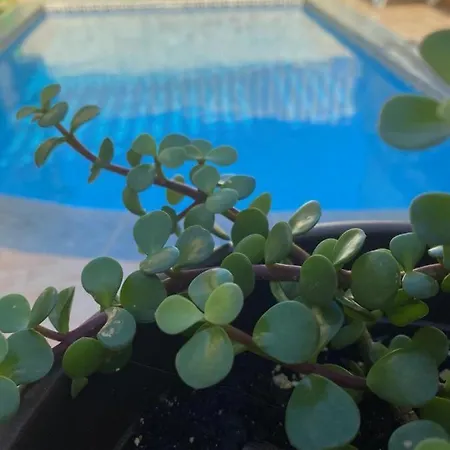 Tan-nahla Holiday Farmhouse With Private Pool Feriehus *